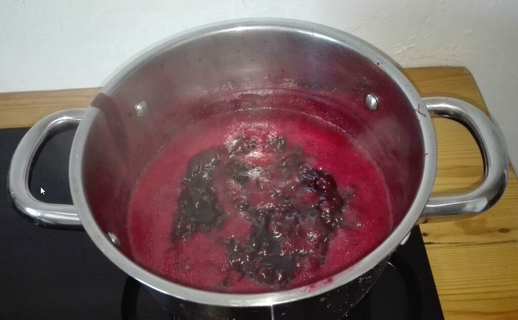 brombeeren kochen lassen