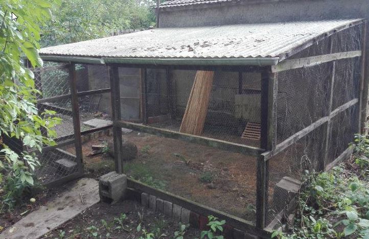 Mehr über den Artikel erfahren Hühnerstall bauen