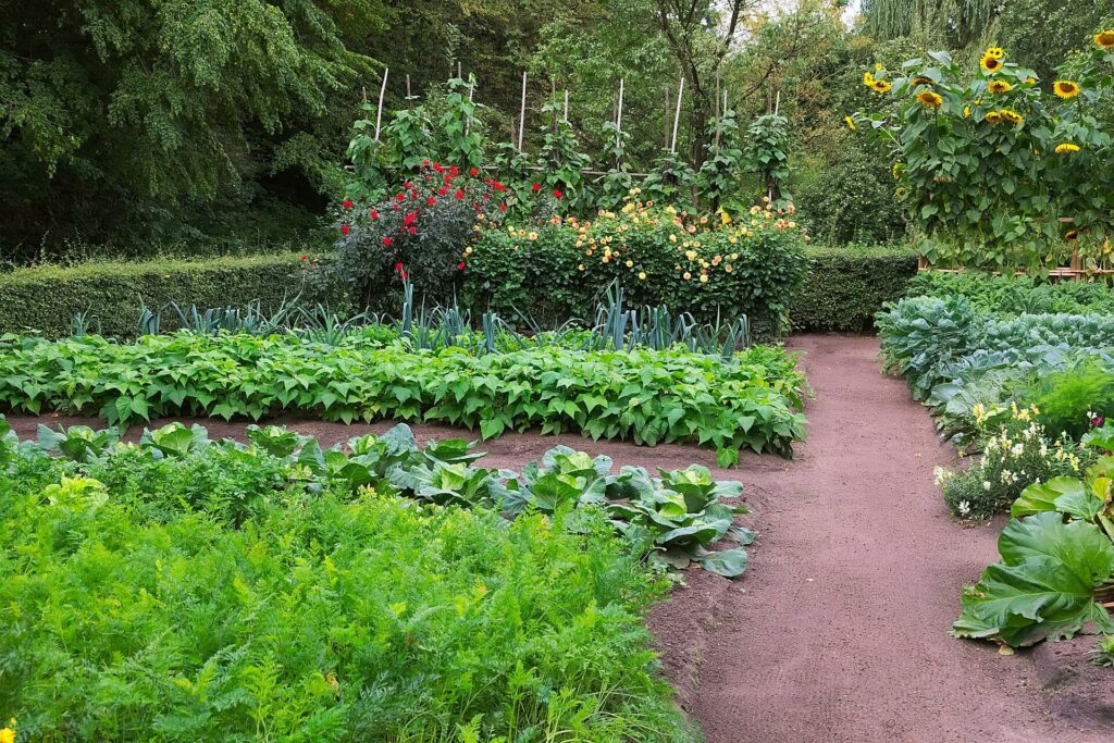 gemuesegarten
