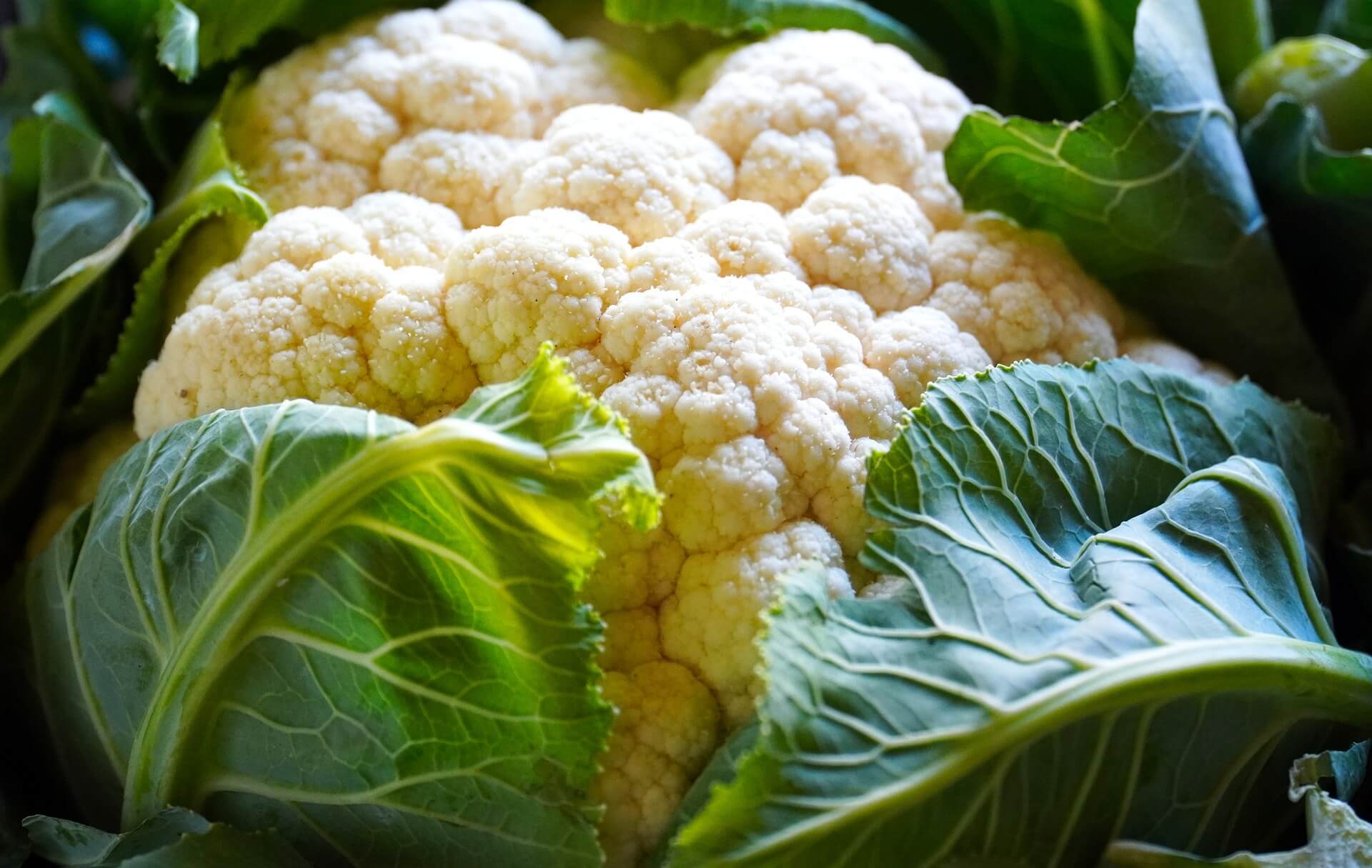☝ Blumenkohl anbauen Wie es auch bei dir klappt