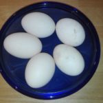 Wie viele Eier legen Seidenhühner?